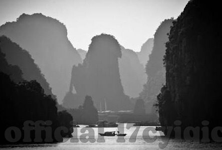 av中文字幕一区-探索AV中文字幕一区的多元文化与艺术表达