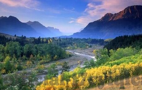 白晶晶果冻传媒第三部-探索白晶晶果冻传媒第三部的独特魅力与艺术创新