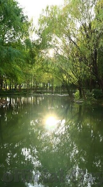 大象传媒2023年隐藏-2023年大象传媒的隐秘力量，解锁数字时代的创新与变革