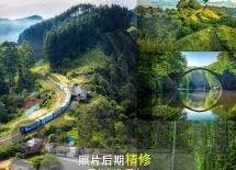 大象传媒网页在线版-大象传媒网页在线版，重塑数字阅读新体验