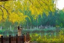 国语自产精品视频一区二区-国语自产精品视频的独特魅力与文化价值