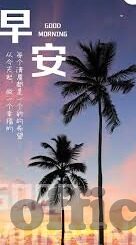 麻豆网站91-麻豆网站91，互联网时代下的深思