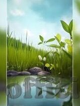 我的性教老师中文字幕-我和我的性教老师，一段成长的启迪